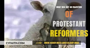 Unchallenged Doctrines: What Protestant Reformers Didn't Contest