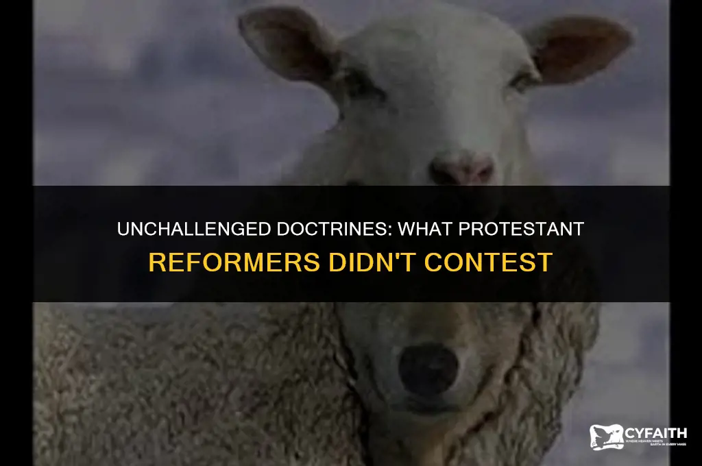 what was not an objection of protestant reformers