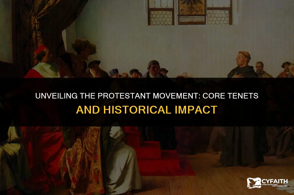 what was protestant movement mention its chief characteristics