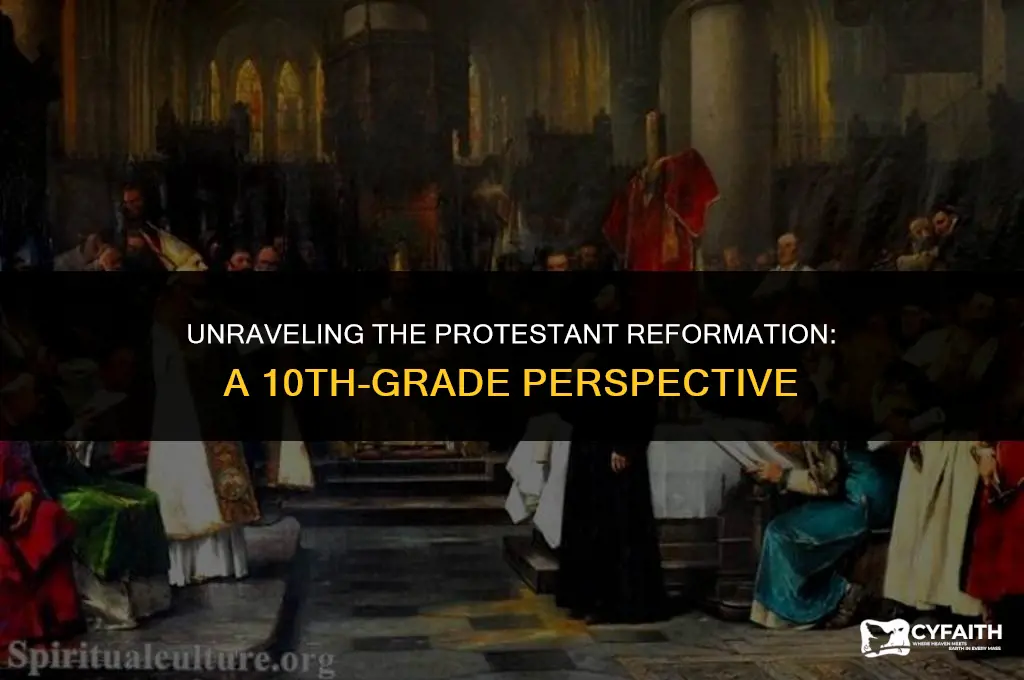 what was protestant reformation class 10