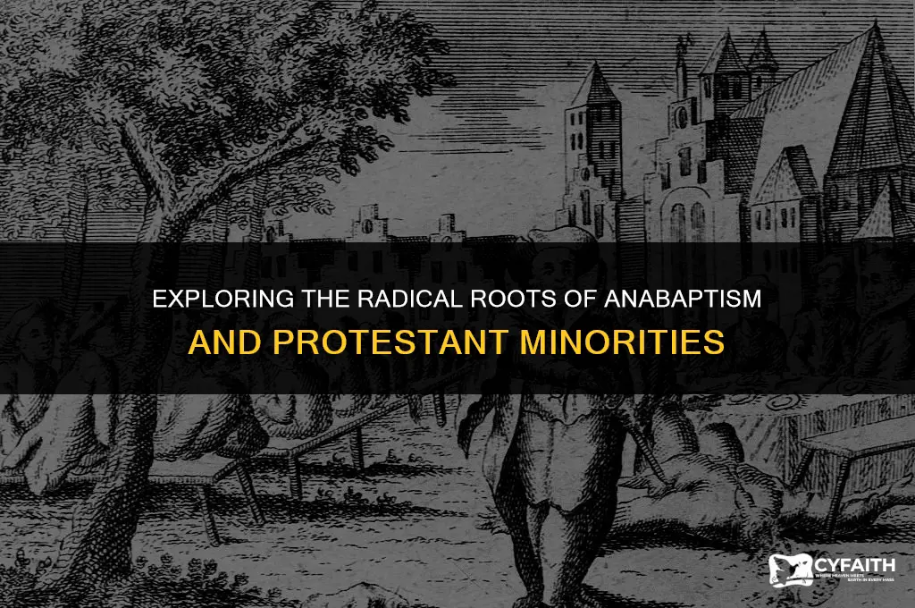what was radical about anabaptism and other protestant minorities