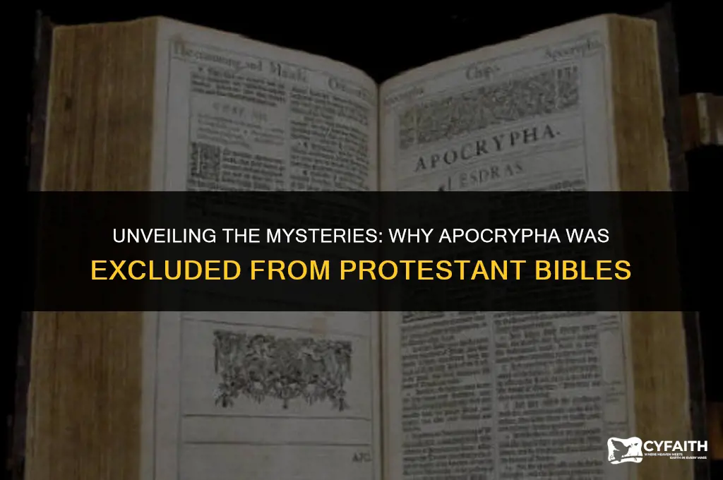 what was the apocrypha not accepted in the protestant bible