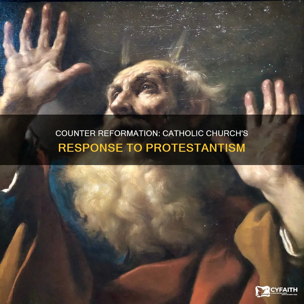 what was the catholic counter reformation