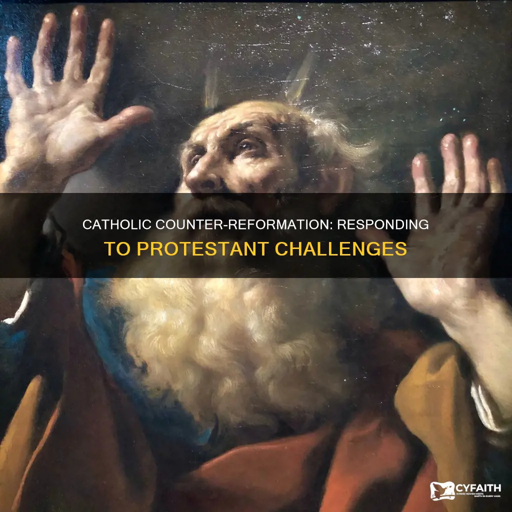 what was the catholic response to the reformation