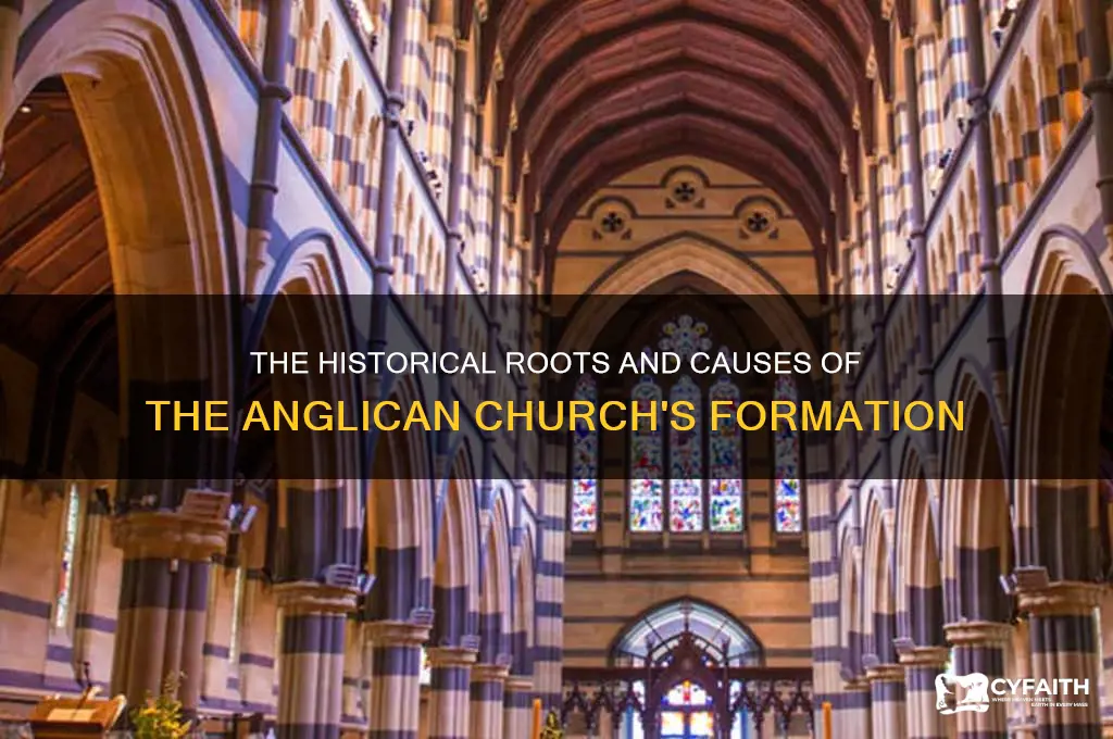 what was the cause of the anglican church