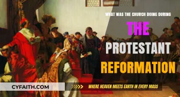 Unraveling the Church's Role During the Protestant Reformation