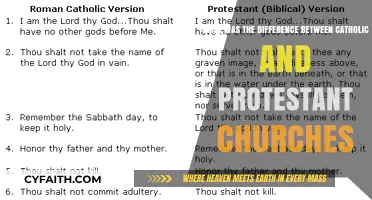 Exploring the Historical Divide: Catholic vs. Protestant Churches