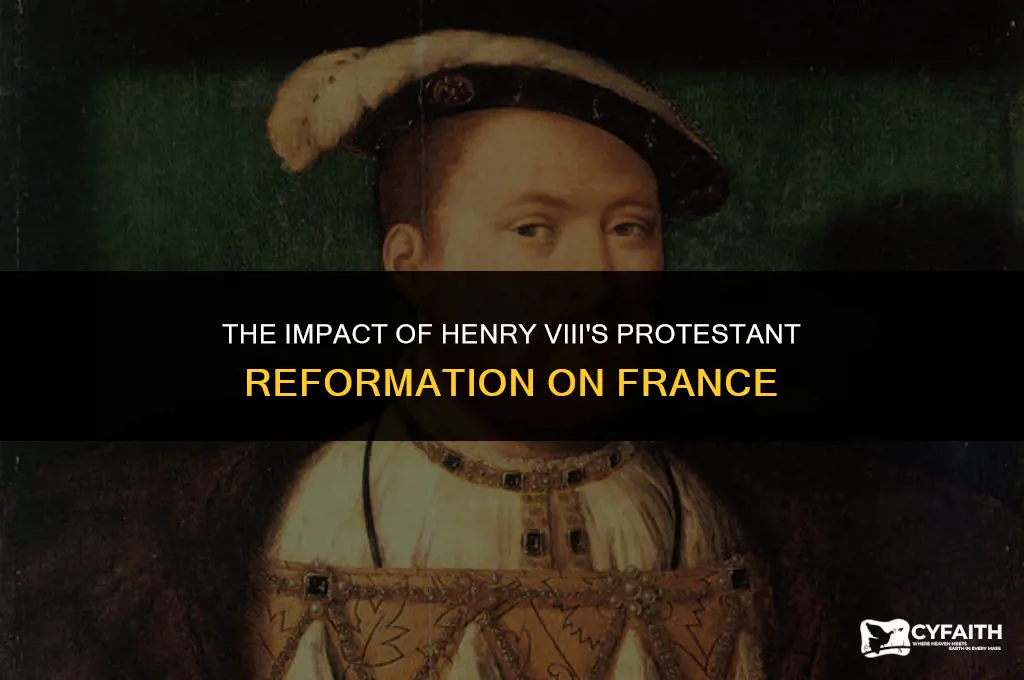what was the effect of henry viii