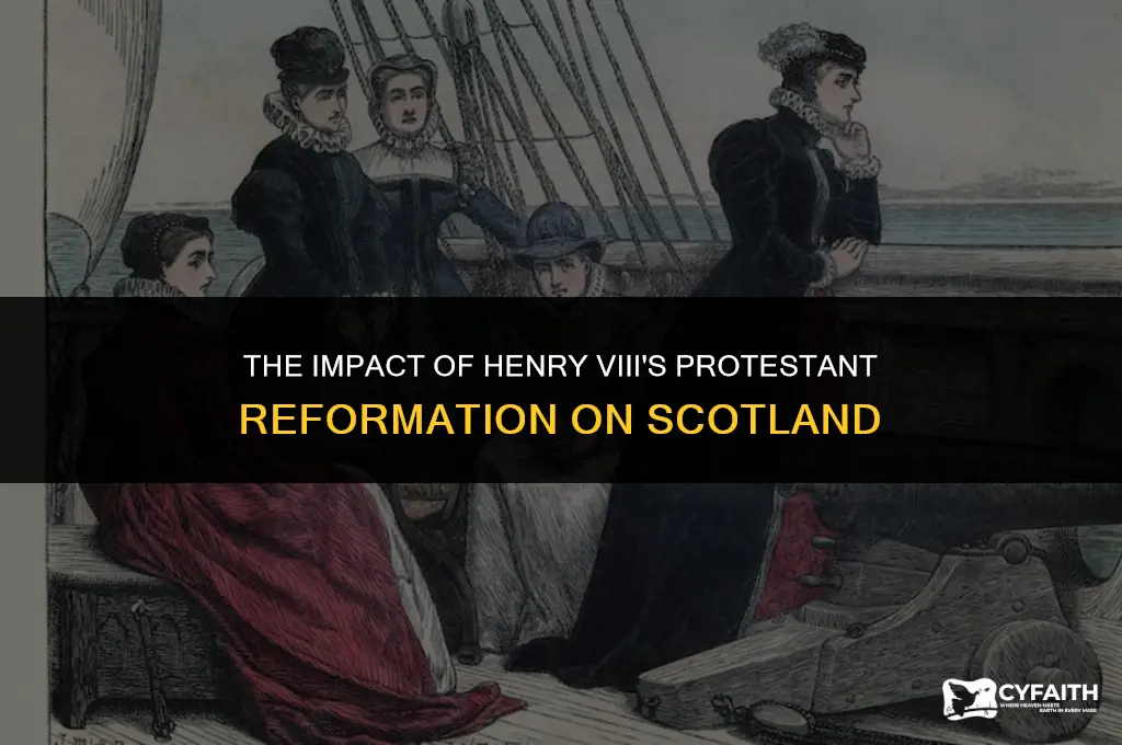 what was the effect of henry viii