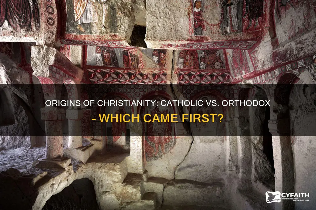 what was the first church catholic or orthodox