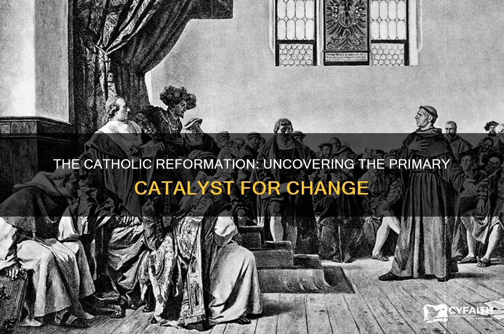 what was the main cause of the catholic reformation