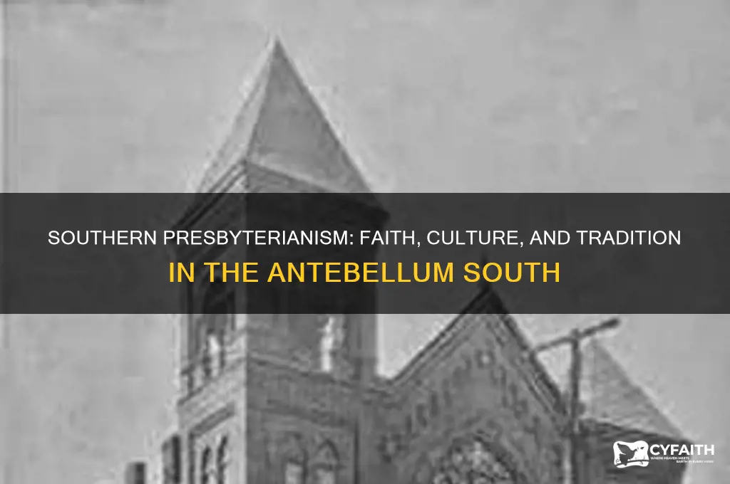 what was the presbyterian church like in the south