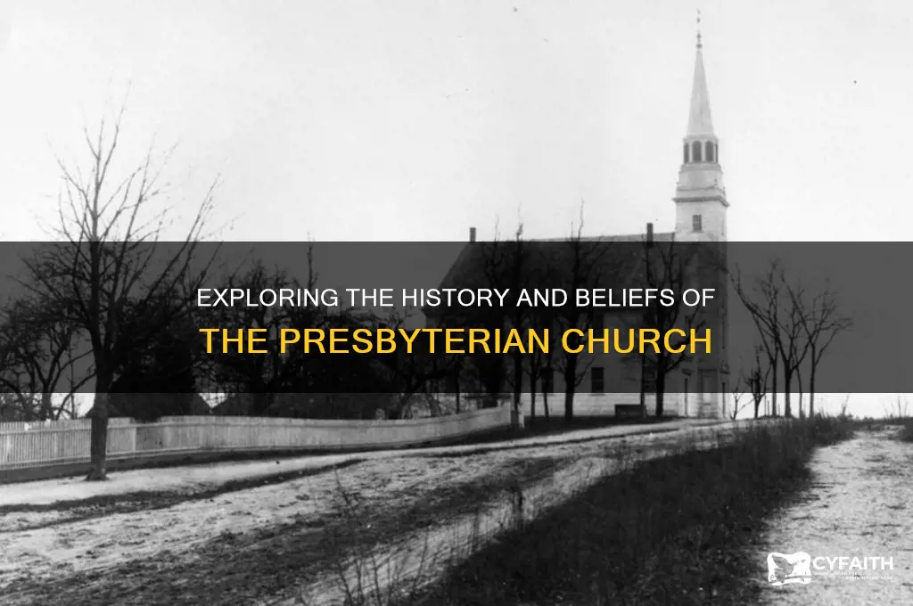 what was the presbyterian church
