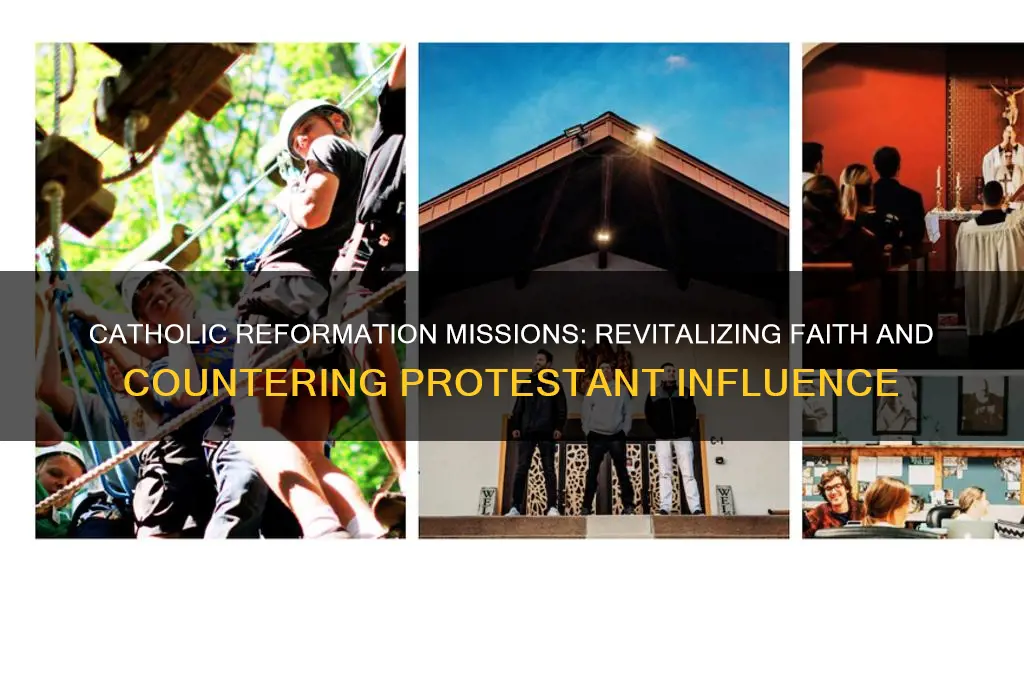what was the purpose of missions during the catholic reformation