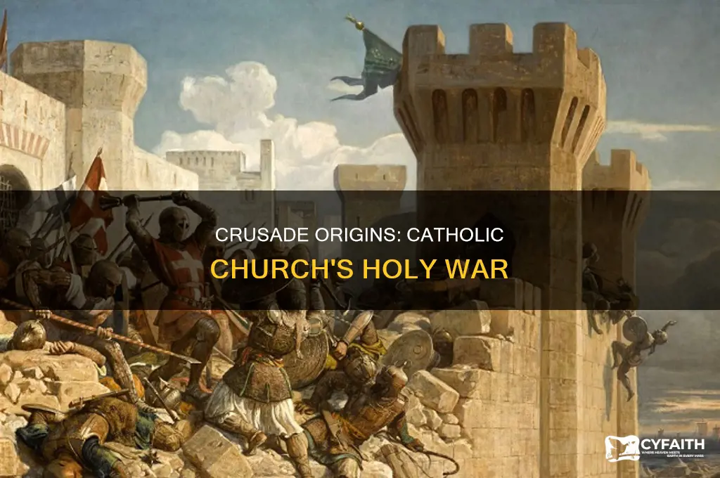 what was the reason for the catholic crusade