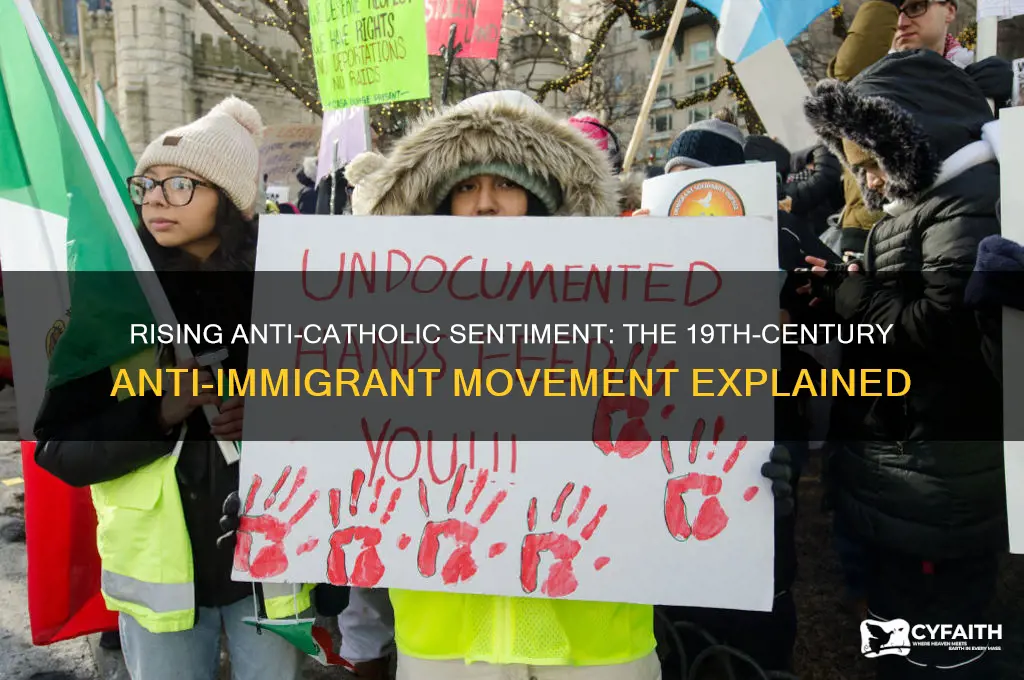 what was the rising anti catholic anti immigrant movement