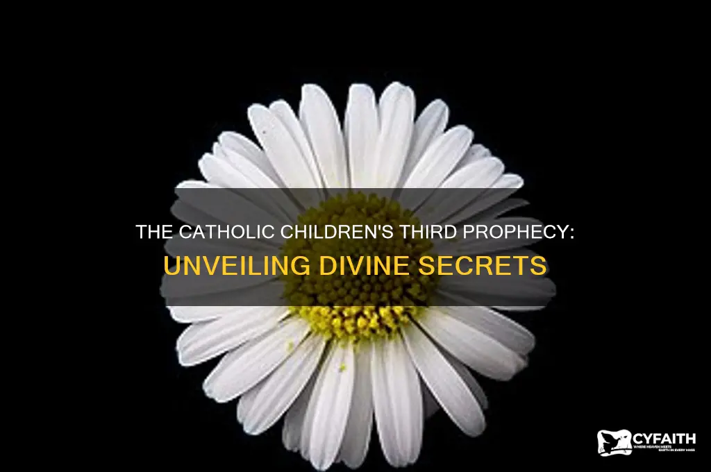 what was the third prophecy of the catholic children