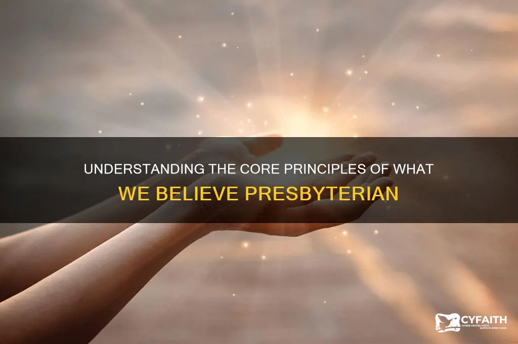what we believe presbyterian