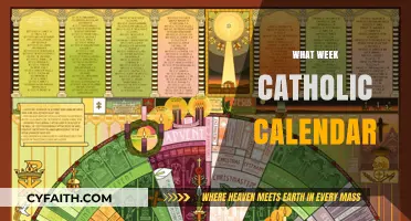 Understanding the Catholic Liturgical Calendar: Weekly Guide and Significance