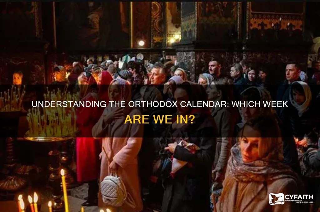 what week in orthodox calendar