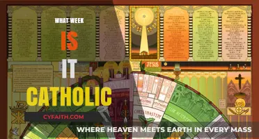 Understanding the Catholic Liturgical Calendar: What Week Is It?