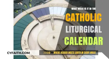 Understanding the Catholic Liturgical Calendar: Current Week and Significance