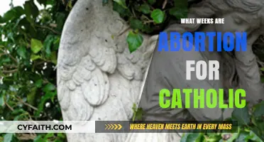 Catholic Abortion: Weeks and Religious Boundaries
