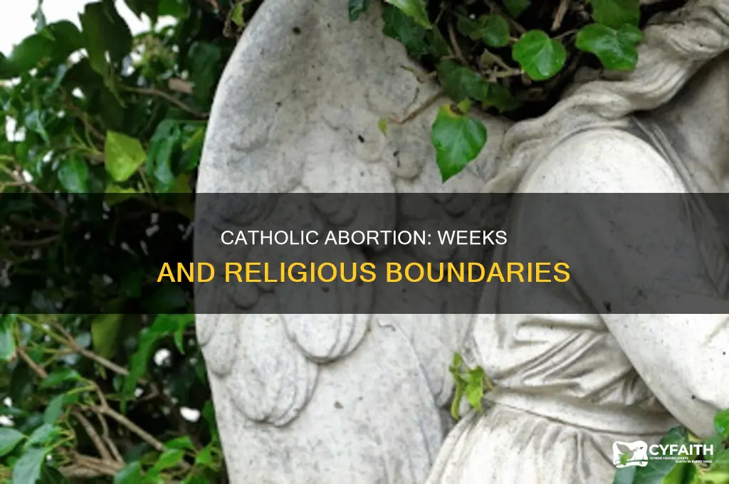 what weeks are abortion for catholic