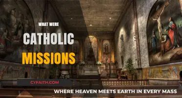 Exploring the Purpose and Impact of Catholic Missions Historically