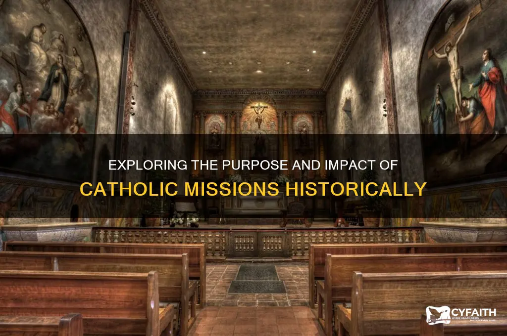 what were catholic missions