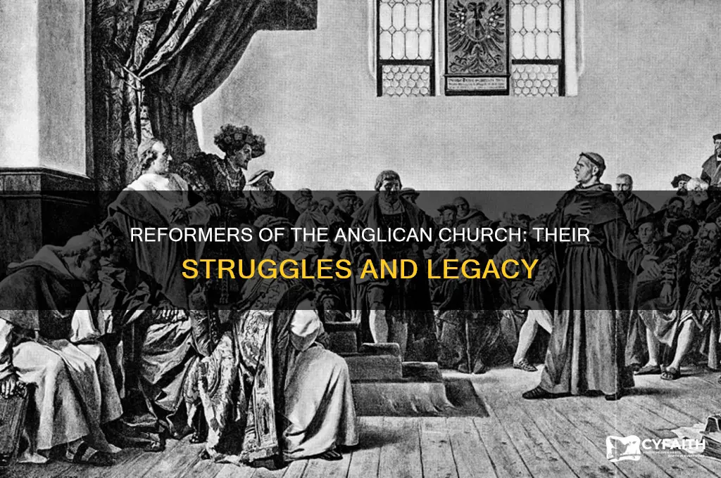 what were people who tried to reform the anglican church