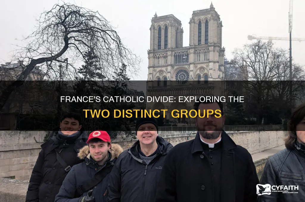 what were the 2 groups of catholics in france