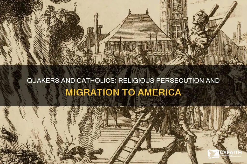 what were the reasons for quakers to catholics to america