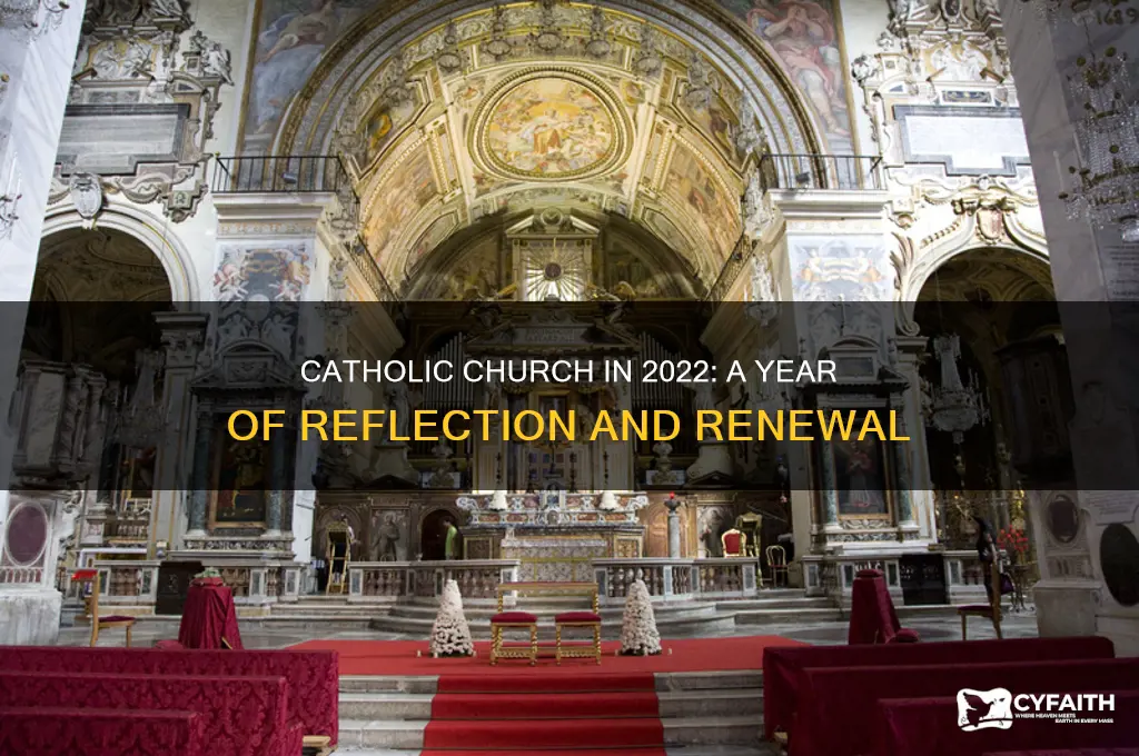 what will be call in 202 year in the catholic