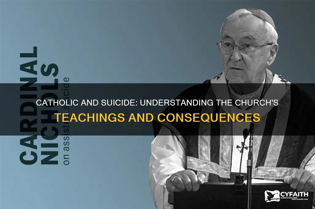 what will happens if your catholic and commits suicide