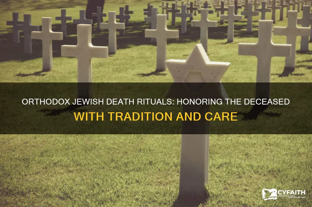 what will orthodox jews do when someone dies