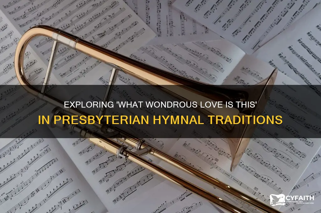 what wondrous love is this in presbyterian hymnal