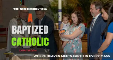 Baptized Catholic: My Faith, My Identity