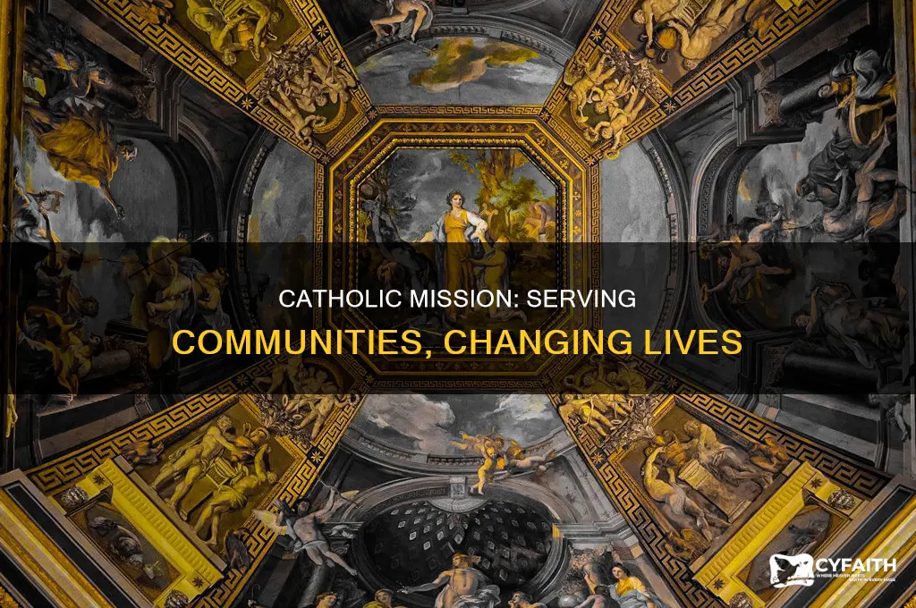 what work does catholic mission do