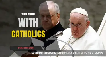 Understanding Catholic Criticisms: Addressing Common Misconceptions and Challenges