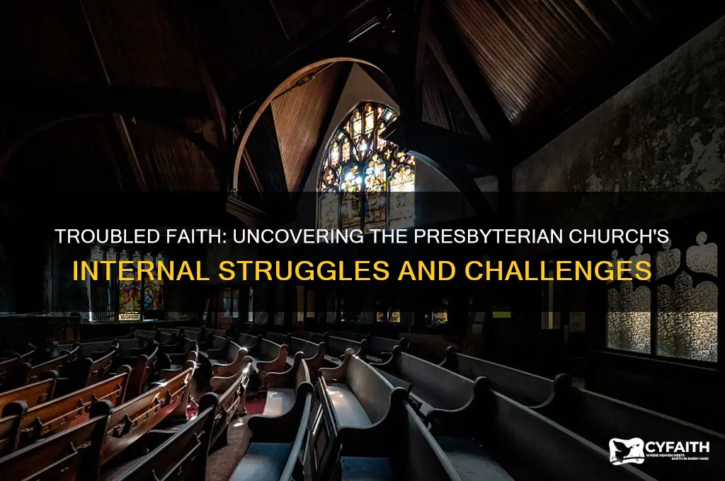 what wrong with the presbyterian church