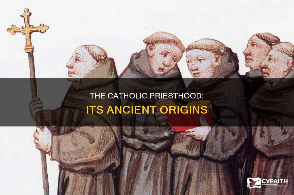 what year did the catholic priesthood began