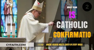 Understanding the Year of Catholic Confirmation: A Guide for Families