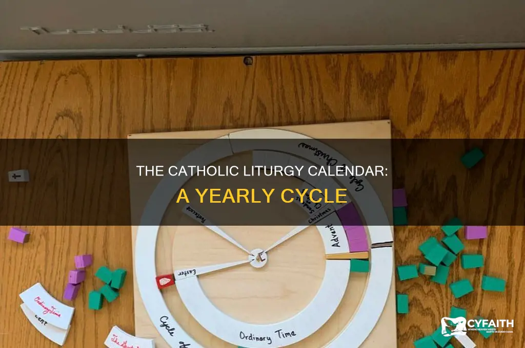 what year is it in catholic liturgy