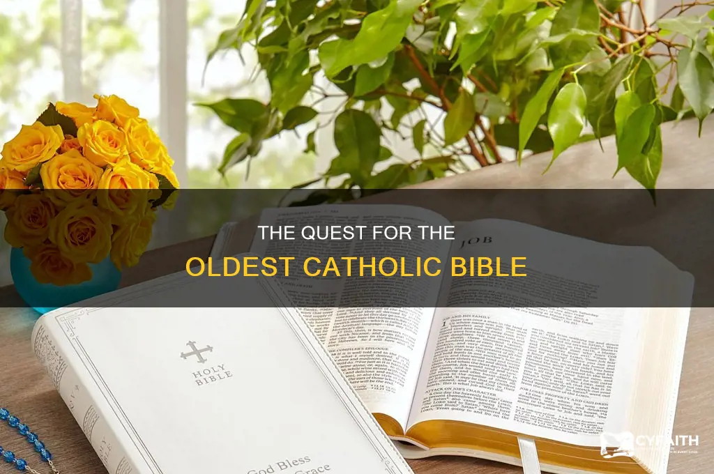 what year is the oldest catholic bbible made