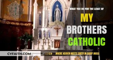 Serving the Least: Living Catholic Faith Through Brotherly Love and Action