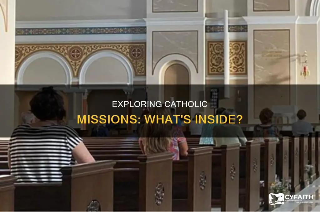 what you find at a catholic mission