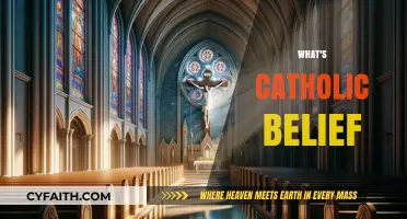 Understanding Catholic Beliefs: Core Teachings and Practices Explained