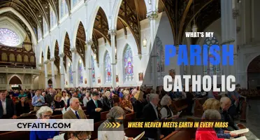 Discovering Your Parish: Understanding Catholic Community and Belonging