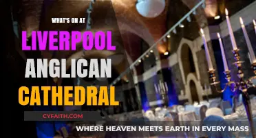 Discover Liverpool Anglican Cathedral's Exciting Events and Activities This Season